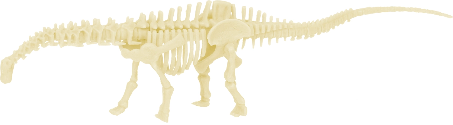 Kit Excavare Diplodocus [3]