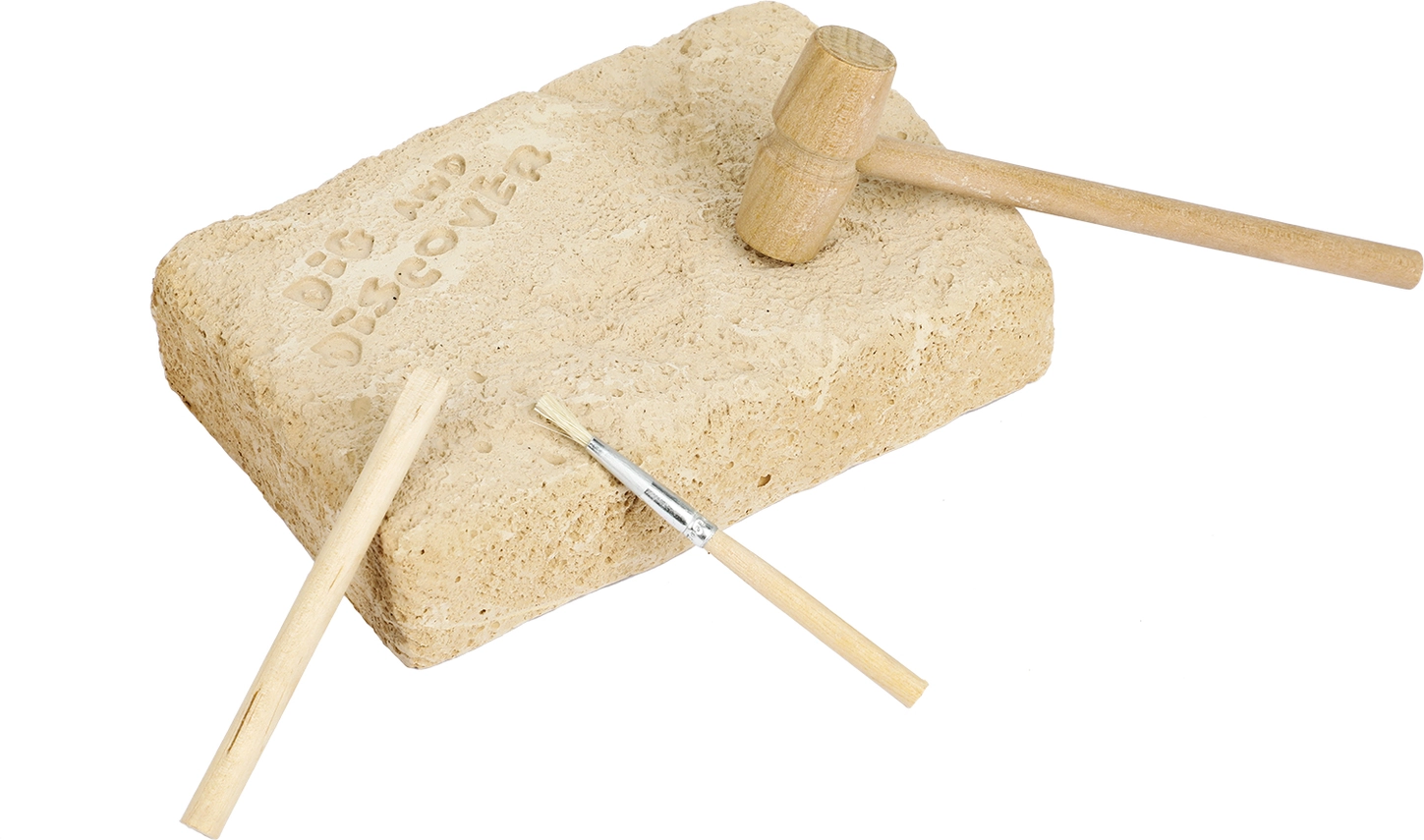 Kit Excavare Diplodocus [2]