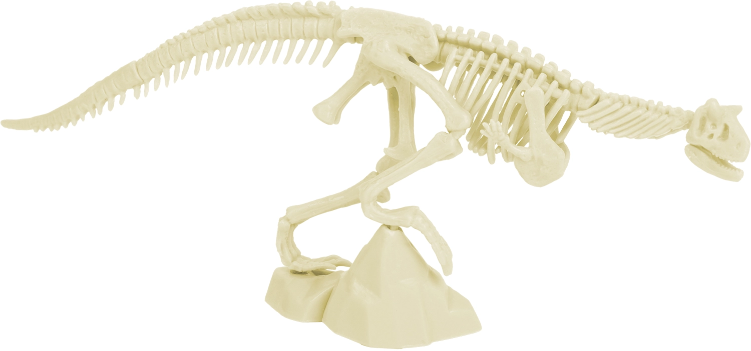 Kit excavare Velociraptor [3]