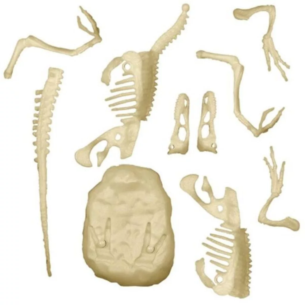 Set Excavare Fosila Velociraptor Fosforescent [4]