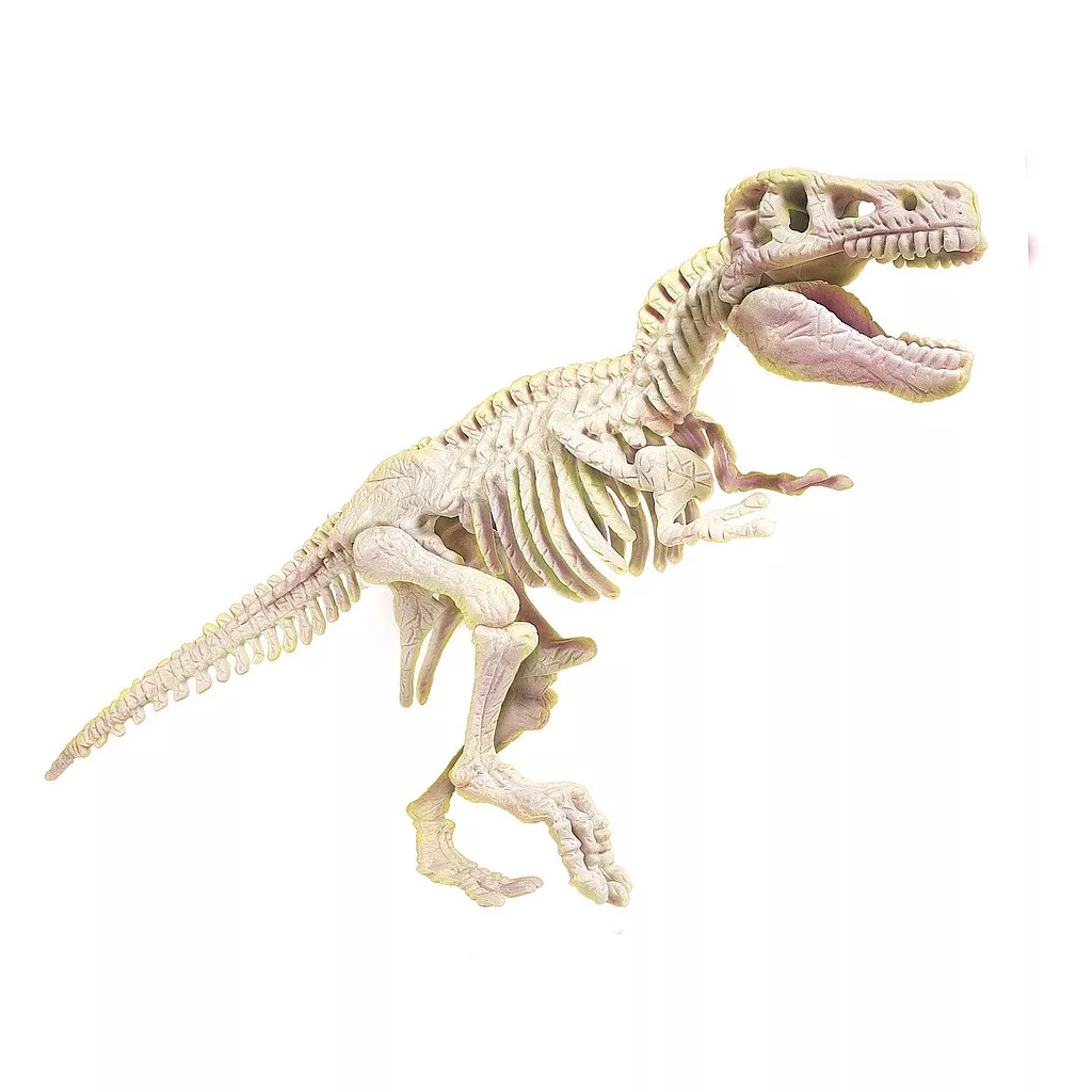 Set Excavare Fosile T-Rex - Fosforescent [2]