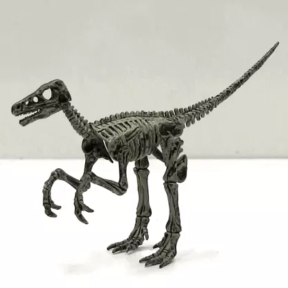 Kit excavare 4 dinozauri [5]