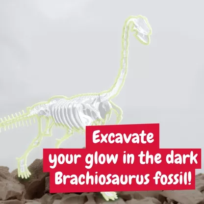 Kit excavare Brachiozaur - Fosforescent [1]