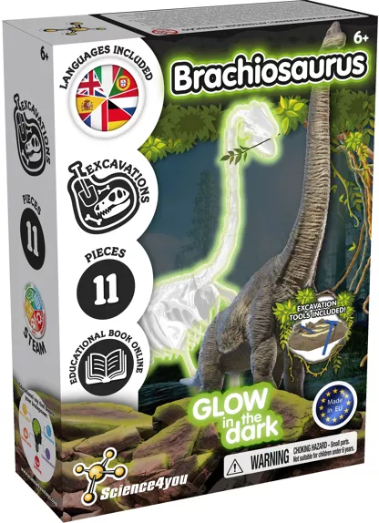 Kit excavare Brachiozaur - Fosforescent