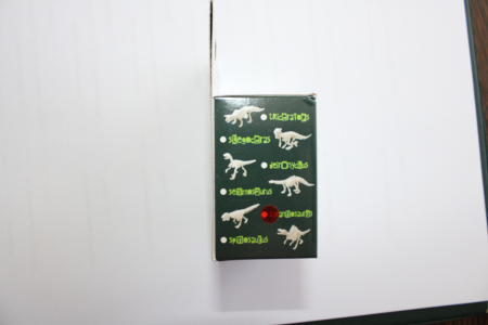 Kit Excavare Schelet de Dinozaur [1]