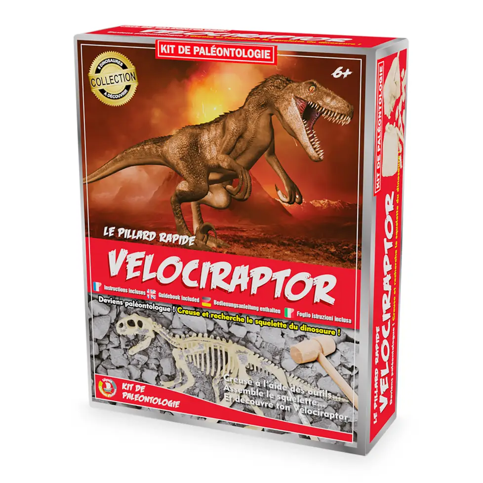 Fosile - Kit excavare Velociraptor