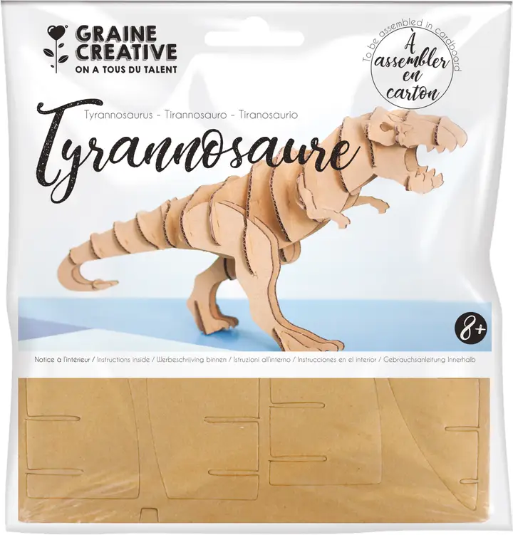 Creativitate - Machetă T-Rex din carton