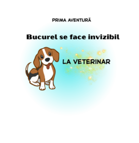 BUCUREL SE FACE INVIZIBIL de Ileana Topan [2]