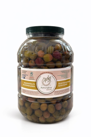 Masline - Masline Naturale Blonde, Amfisis, calibru Jumbo - 3kg