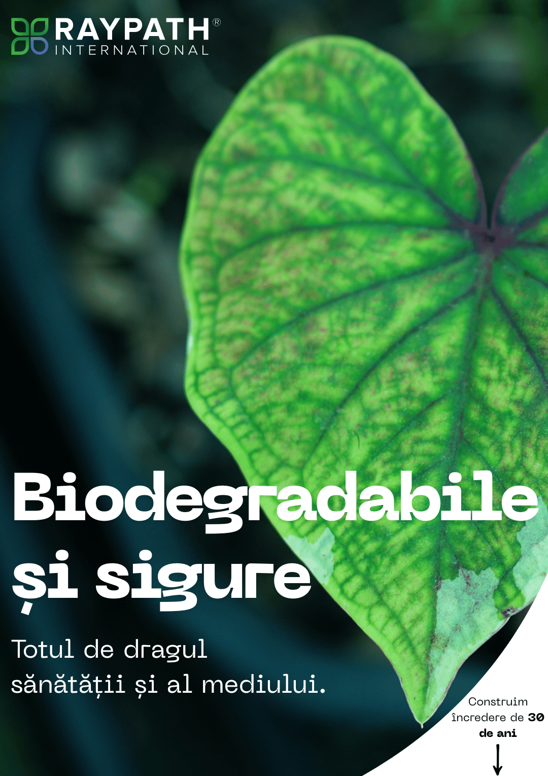 Biodegradabile si sigure - mobil