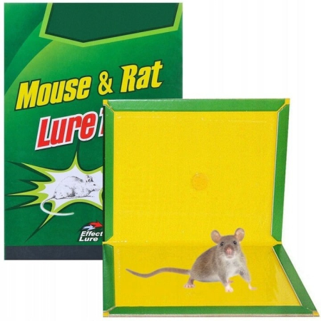 Produse și accesorii pentru casă - Capcană pentru șoareci, șobolani și insecte, cu lipici, tip carte, reutilizabilă – En-gros