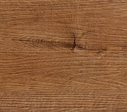 Stejar Maro Castaniu