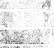 Cărămidă Stradală