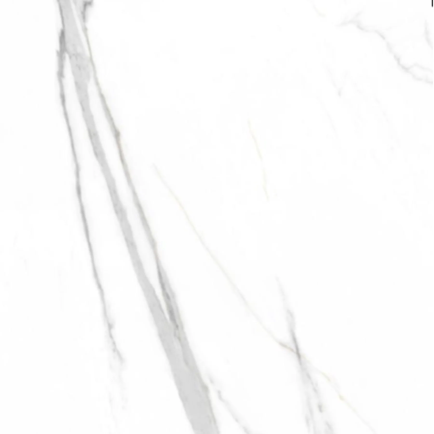 panouri perete spc [2]