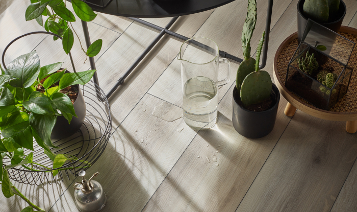 Parchet SPC VOX Rigio [3]