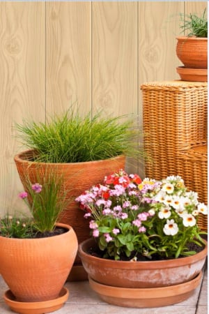 Lambriuri PVC - Lambriu PVC Vilo 105 - 4000x105x8 – Pin, rezistente la apă, montaj ușor și rapid