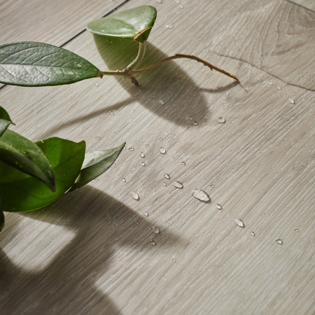 Parchet SPC - Parchet SPC VOX Rigio