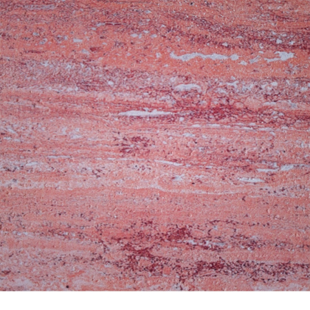 Set 16 panouri decorative din praf de piatra, Naimeed D7313, ignifuge, strat protector ceramic, rezistente la razele UV, 120x60x0.2 cm, coral [5]