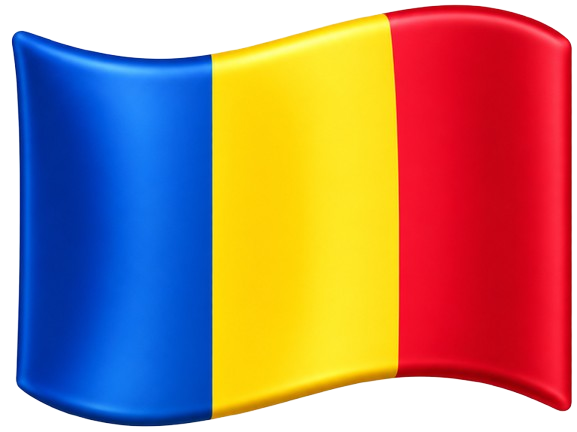 Suport în limba română