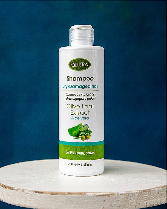 Șampon cu extract de aloe vera Kalliston 250 ml | Dor de Grecia [6]