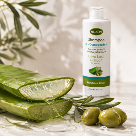 Șampon cu extract de aloe vera Kalliston 250 ml | Dor de Grecia [3]