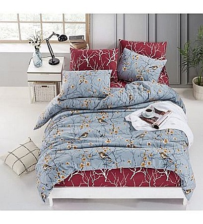 1+ 1 Gratis PROMO Lenjerii pat dublu - 1 + 1 PROMO-Lenjerie de pat dublu din bumbac ranforce Begenal