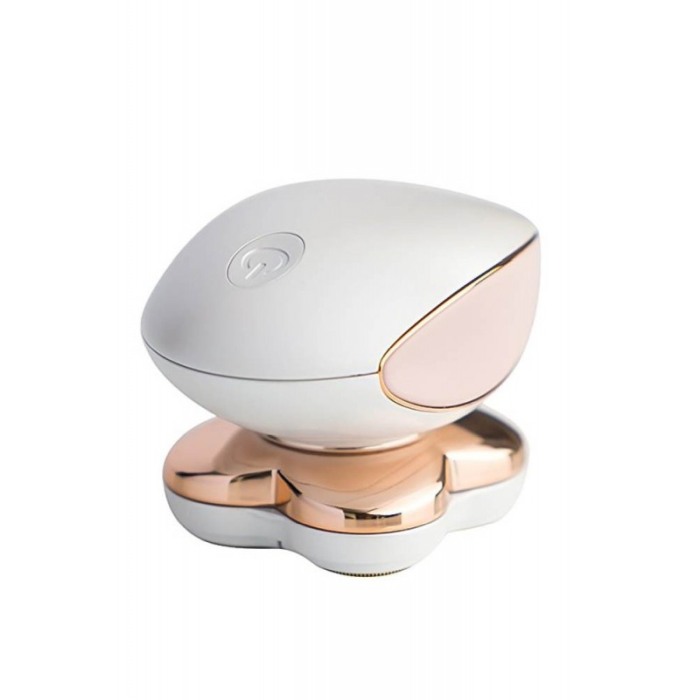 Aparat electric Delicate de ras pentru femei, fara durere, reincarcabil, usor de manevrat, lumina LED, design modern, perie de c [3]