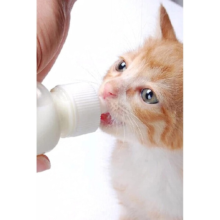 Biberon pentru animale, 3 tetine incluse, perie de curatat, 80 ml, alb, Doty®️ [4]