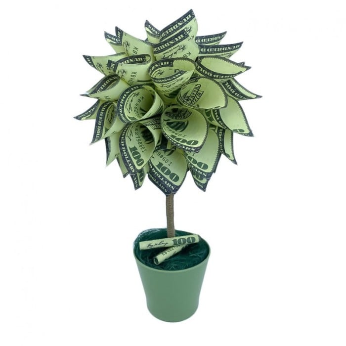 Copac decorativ USD Tree, in ghivechi, design creativ,model dolari, 34 cm, verde [6]