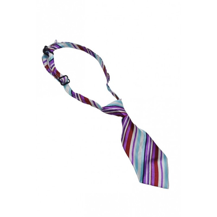 Cravata Fashion Raley, pentru animale de talia mica, 44-32 cm, reglabila, model dungi, multicolora, Doty® [3]