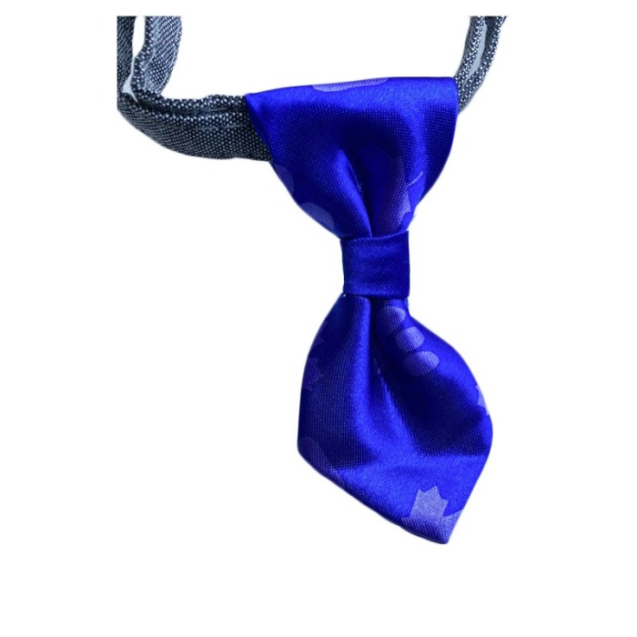 Cravata Ring Raley, pentru animale de companie, mici,32-24 cm, reglabila, clopotel inclus, albastru [5]