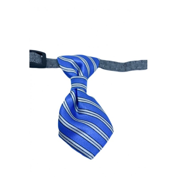 Cravata Ring Raley, pentru animale de companie, mici,32-24 cm, reglabila, clopotel inclus, model dungi,albastru [3]
