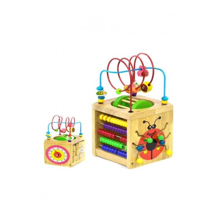 Cub din lemn educativ Ladybug 6 in 1, cu multiple activitati, ceas, numaratoare.roata, labirint, dezvolta gandirea si imaginatia [4]