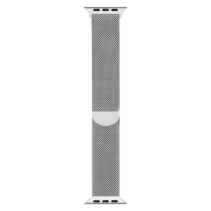 Curea argintie magnetica din otel inoxidabil, 40 mm compatibila Ceas Apple seria 1, 2 , 3 [2]