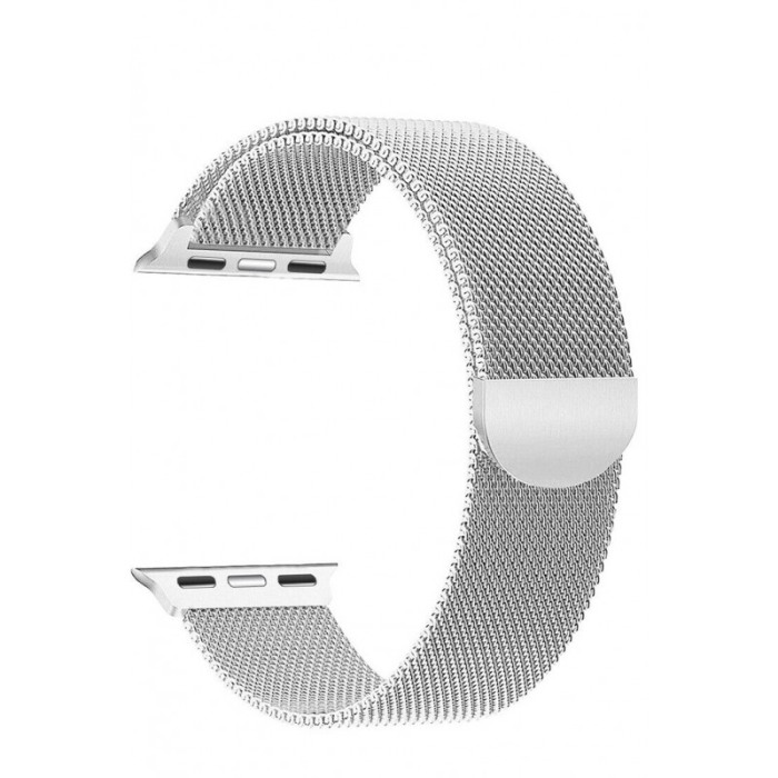 Curea argintie magnetica din otel inoxidabil, 44 mm compatibila Ceas Apple seria 1, 2 , 3 [1]