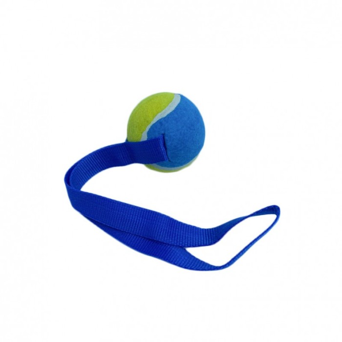 Jucarie interactiva Play Ball, cu minge si maner, interactiva, 35 cm ,galben/albastru [5]
