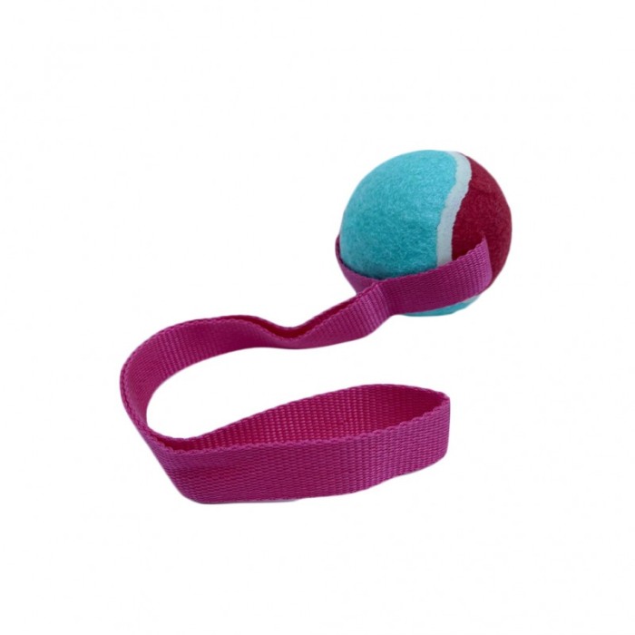 Jucarie interactiva Play Ball, cu minge si maner, interactiva, 35 cm ,roz/albastru, [5]