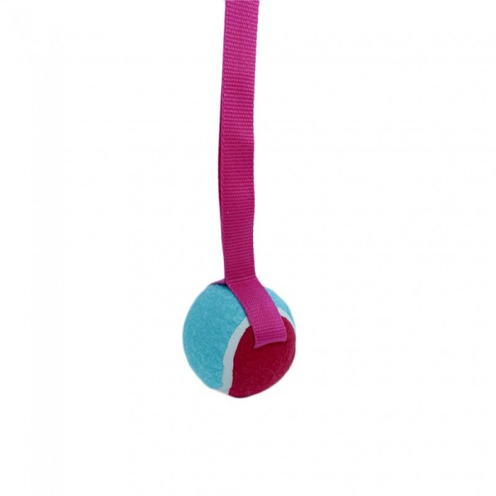 Jucarie interactiva Play Ball, cu minge si maner, interactiva, 35 cm ,roz/albastru, [2]