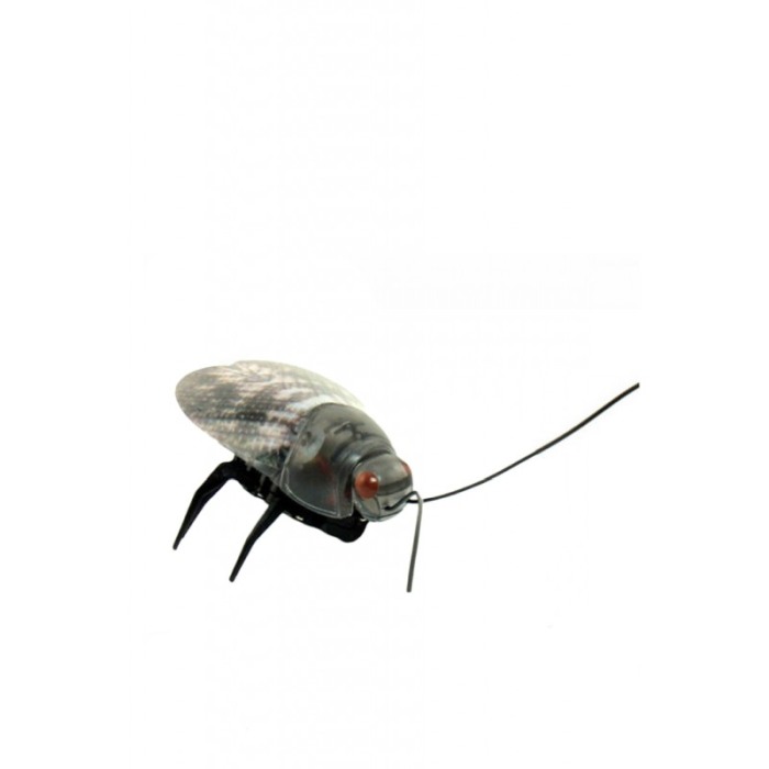 Jucarie LittleBug, interactiva, reincarcabila, design realist, distractiva, efecte luminoase, negru/gri [4]