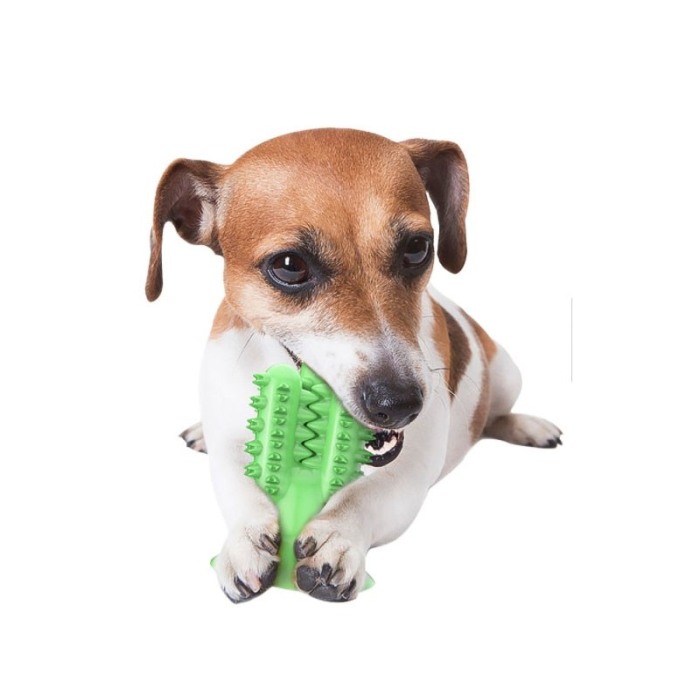 Jucarie molara din silicon pentru caini Cactus Friend , cu ventuza, tip stick dentar, 13x9 cm, verde [4]