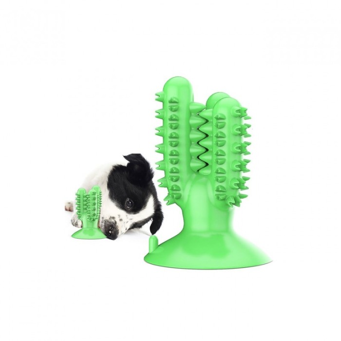 Jucarie molara din silicon pentru caini Cactus Friend , cu ventuza, tip stick dentar, 13x9 cm, verde [3]