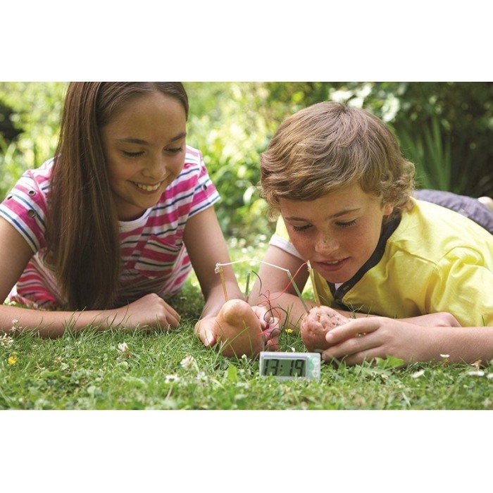 Kit Ceas digital fara baterii, energie din cartofi si legume, experiment stintific pentru copii [2]