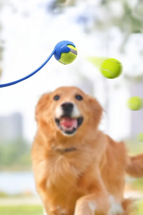 Lansator de mingi Pet Ball Shooter Doty®, retractabil pentru caini, 49 cm, minge tenis inclusa, usor de utlizat, maner antiderapant, materiale de calitate, albastru [6]