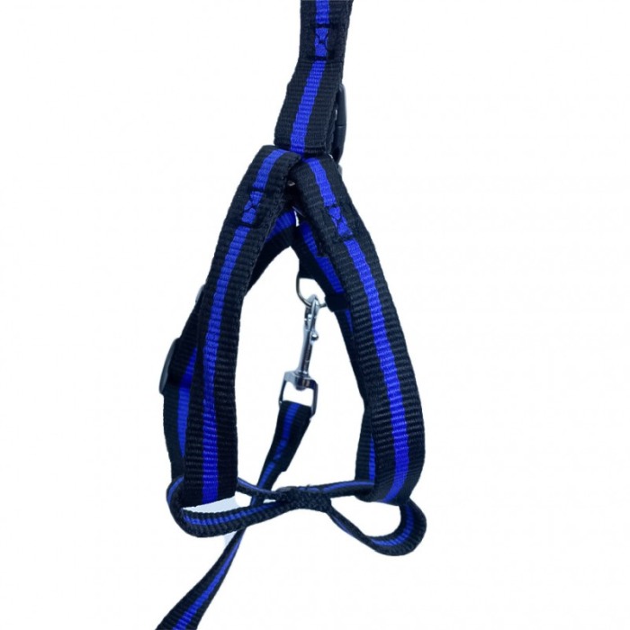 Lesa cu ham Baxter pentru caini de talie foarte mica, rezistenta,ajustabila,amortizor,125 cm, albastru/negru [5]