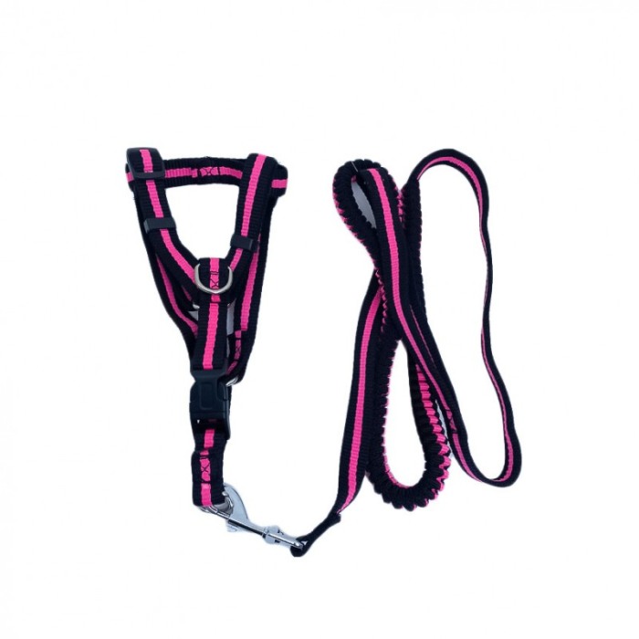 Lesa cu ham Baxter pentru caini de talie foarte mica, rezistenta,ajustabila,amortizor,125 cm, roz/negru [1]
