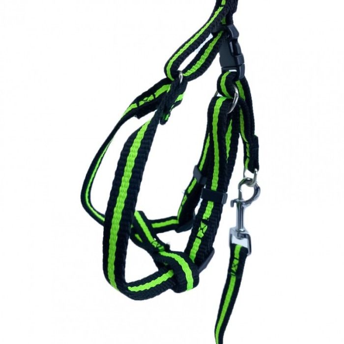 Lesa cu ham Baxter pentru caini de talie foarte mica, rezistenta,ajustabila,amortizor,125 cm, verde/negru [3]