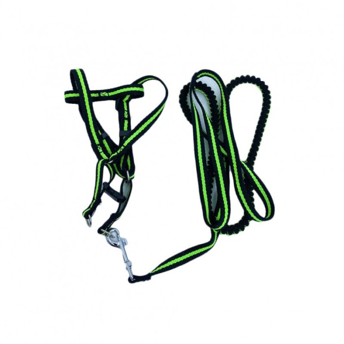 Lesa cu ham Baxter pentru caini de talie foarte mica, rezistenta,ajustabila,amortizor,125 cm, verde/negru [1]