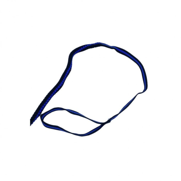 Lesa cu ham Baxter pentru caini de talie medie, rezistenta,ajustabila,amortizor,125 cm, albastru/negru [3]