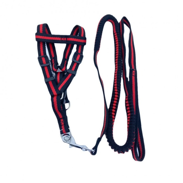 Lesa cu ham Baxter pentru caini de talie medie spre mare, rezistenta,ajustabila,amortizor,125 cm, rosu/negru [1]
