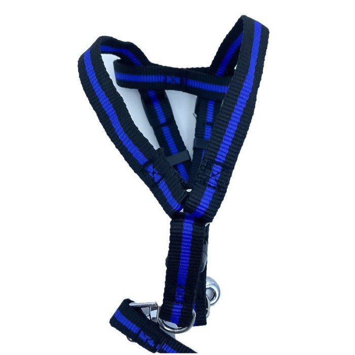 Lesa cu ham Baxter pentru caini de talie mica, rezistenta,ajustabila,amortizor,125 cm, albastru/negru [3]